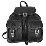 David King Flap Top Double Front Pocket Backack