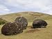 Pukaos, Puna Pao Quarry, Easter Island (Rapa Nui), Chile, South America Photographic Poster Print by Michael Snell, 12x9