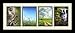 ArtToFrames Collage Photo Frame Single Mat with 4-5x7 Openings and Satin Black Frame.