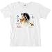 Rough Coat Collie - Cats and Dogs Women's Cut T-Shirt