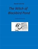 Novel Unit for The Witch of Blackbird Pond