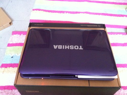 Toshiba Satellite L645D-S4025 14 Laptop AMD Athlon II Dual-Core Mobile Processor P320, 3 GB RAM, 250 GB Hard Drive, DVD-SuperMulti Drive, Windows 7 Home Premium 64-bit Purple