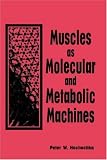 Muscles as Molecular and Metabolic Machines