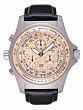 Torgoen Swiss Professional Pilot Watch - T01105