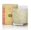 Thymes Olive Leaf Poured Candle 9 oz net wt / 255 g