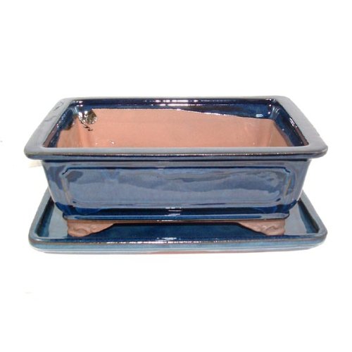 26cm Blue Glazed Bonsai Pot and Tray Set