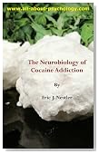 The Neurobiology of Cocaine Addiction