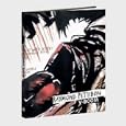 Raymond Pettibon: V-Boom