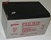 EnerSys Genesis (formerly Yuasa) NP12-12T - 12 Volt/12 Amp Hour Sealed Lead Acid Battery with 0.250 Fast-on Connector