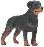 Best in Show - Rottweiler