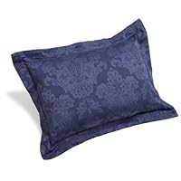 Pinzon Medallion Jacquard Woven Sham