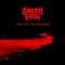 Metal albums with a flute solo