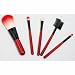 FASH Brush Set, 5pcs Dark Red