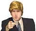 You're Fired Wig Adult