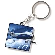 777 Big Picture Keychain
