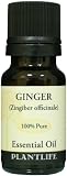 Ginger 100% Pure Essential Oil - 10 ml