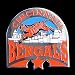 Glossy NFL Team Pin - Cincinnati Bengals