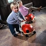 from Hippychick Wheelybug Ladybird Variation Parent (Model WBLBS)