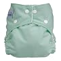 Fuzzi Bunz Perfect Size Cloth Diaper, Sage, Small