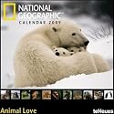 2009 National Geographic Animal Love Grid Calendar
