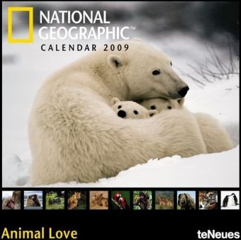 2009 National Geographic Animal Love Grid Calendar
