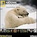 2009 National Geographic Animal Love Grid Calendar