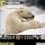 2009 National Geographic Animal Love Grid Calendar