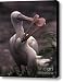 Spooning Canvas Print / Canvas Art - Artist Warren Sarle