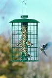 Bird Feeder Squirrel-Proof Selective