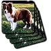 Dogs Border Collie - Border Collie Tan and White - Coasters