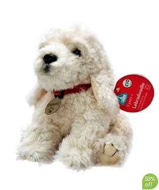 Labradoodle
