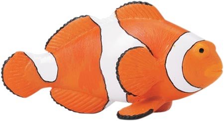 Childrens Toyshop  Toys : Clown Anemonefish (Incredible Creatures)