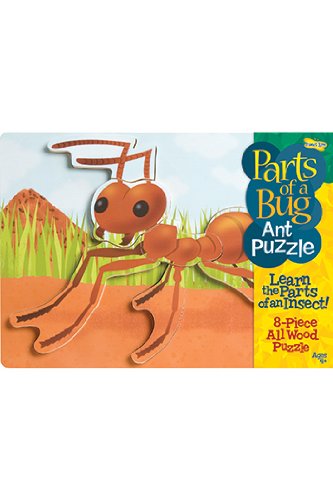 Insect Lore Parts of an Ant Puzzle Insect Lore Parts of an Ant Puzzle