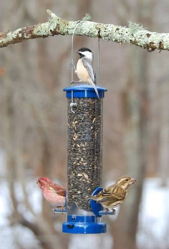 Aspects Blue Small Seed Tube Feeder