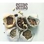 Seeds