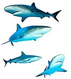 Wallmonkeys Sharks (reef Sharks) on White Background - 24