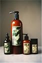 WEN Hair Set Complete 32oz - Set B