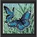 Dimensions Needlepoint Butterfly Duo