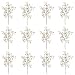 12 Pieces of 30" Silver Dollar Spray White Plastic