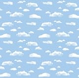 Pacon 56465 Fadeless Art Paper, 48" x 50 roll, Clouds