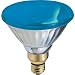 GE Lighting 13465 85-Watt Outdoor PAR38 Incandescent Light Bulb, Blue