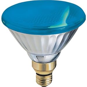 GE 13465 85-Watt Outdoor PAR38 Incandescent Light Bulb, Blue