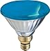 GE 13465 100-Watt Outdoor PAR38 Incandescent Light Bulb, Blue