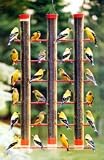 Finches Favorite, 3 Tube Feeder