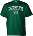 Hawaii Warriors Perennial T-Shirt - Large