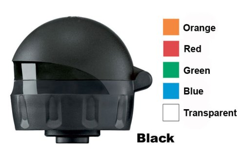 Childrens Toyshop  Sporting Goods : Active Bottle Top Water Bottle Accessory - In Your Choice of Colors