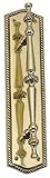 BRASS Accents A06-P0251-605 Trafalgar Pull Handle-Plate 2-.50 in. x 10-.50 in. Polished Brass
