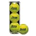 Penn Practice / Coach Tennis Balls - Can of 3 Tennis Balls