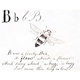 The letter B, by Edward Lear (Print On Demand)
