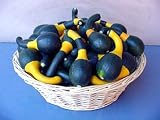 Koshare Gourd 25 Seeds - RARE - NEW